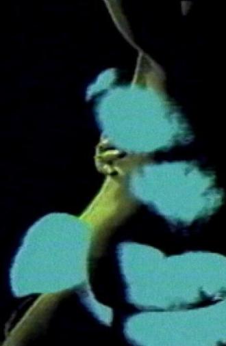 Lettre à un amant (1988)