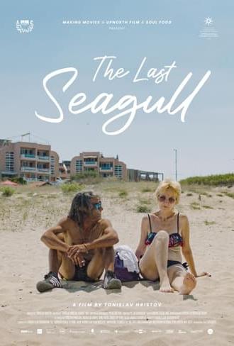 The Last Seagull (2023)