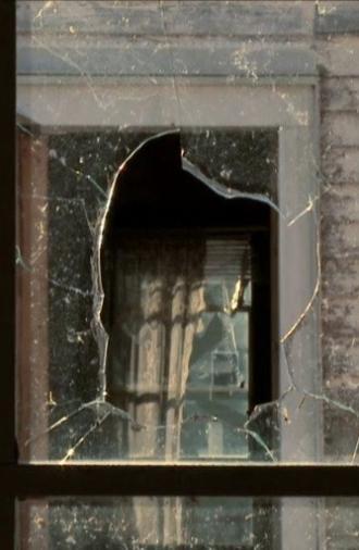 The Lower 9: A Story of Home (Short Version) (2012)