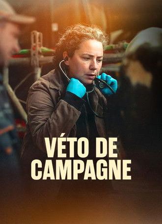 Véto de campagne (2026)