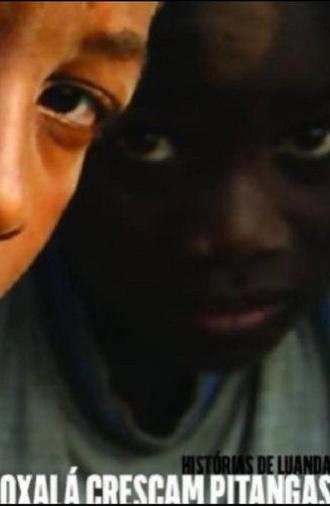 Tales of Luanda: Hope the Pitanga Cherries Grow (2007)