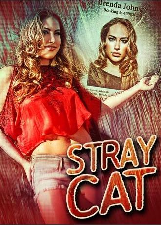 Stray Cat (2023)