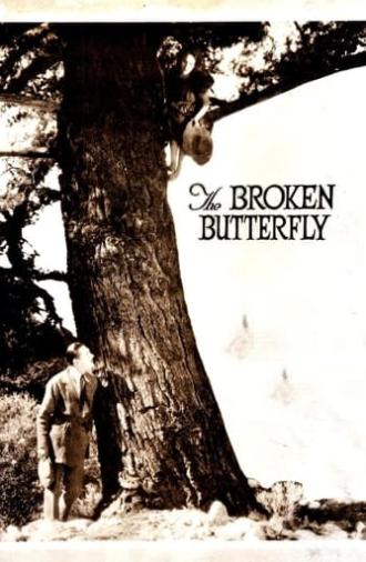 The Broken Butterfly (1919)