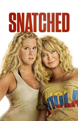 Snatched (2017)