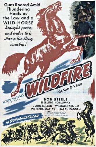 Wildfire (1945)