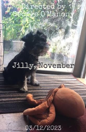 Jilly, November (2023)