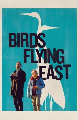 Birds Flying East (2024)