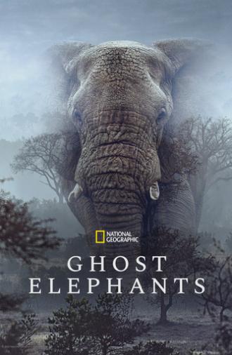 Ghost Elephants (2026)