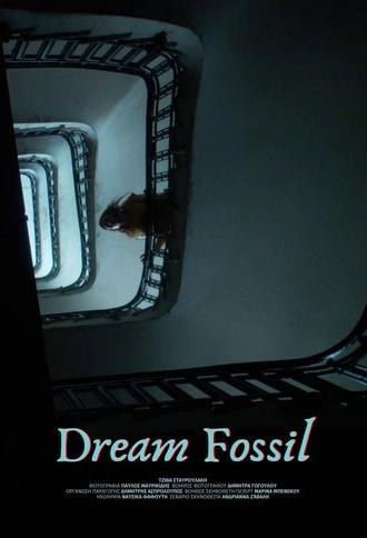 Dream Fossil (2024)