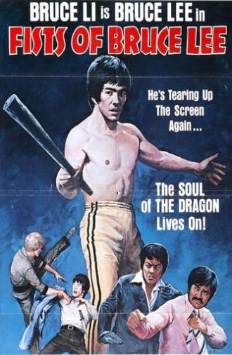 Fists Of Bruce Lee (1979)