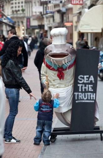 Sea the Truth (2010)