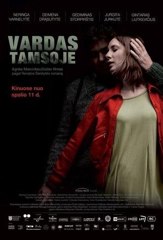 Name in the Dark (2013)