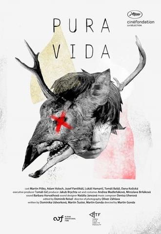 Pura Vida (2019)