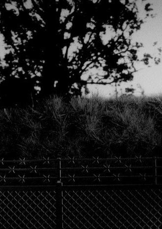 Arbor (2012)