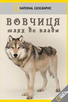 Wild Yellowstone: She Wolf (2013)