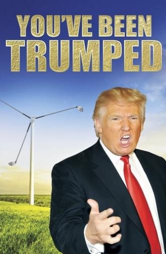 You've Been Trumped (2012)