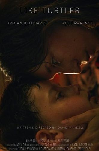 Like Turtles (2019)