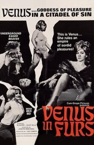 Venus in Furs (1967)