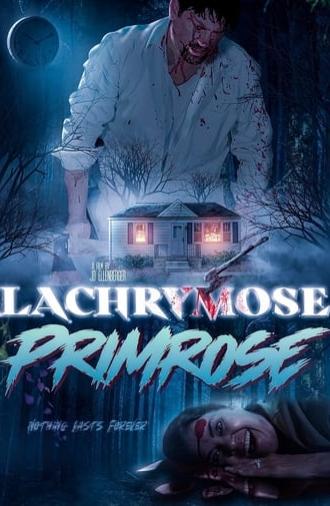 Lachrymose Primrose (2024)