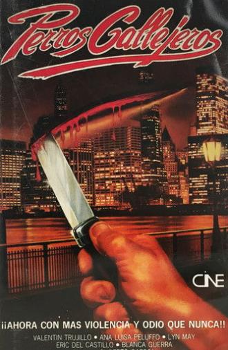 Perro callejero (1980)