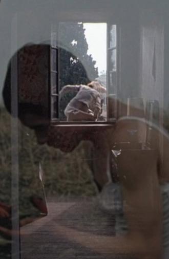 Diary 1: (films from my)SOLID#STATE(drive): November 2024 (2024)