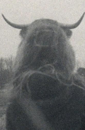 Gombaut (2025)