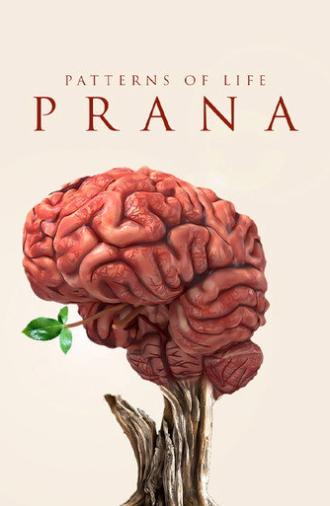 Patterns of life: Prana (2021)