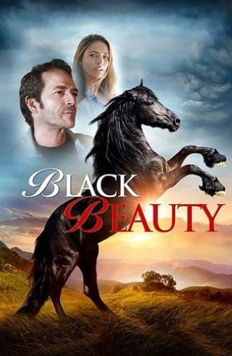 Black Beauty (2015)