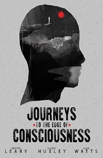 Journeys to the Edge of Consciousness (2019)