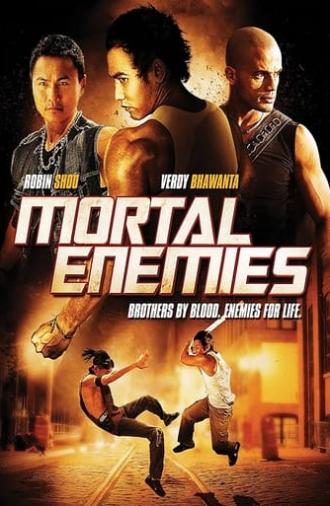 Mortal Enemies (2011)