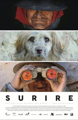 Surire (2015)