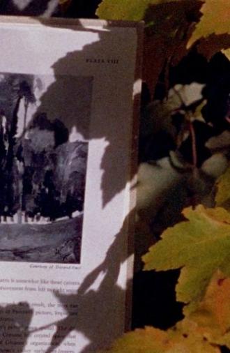 Four Shadows (1978)