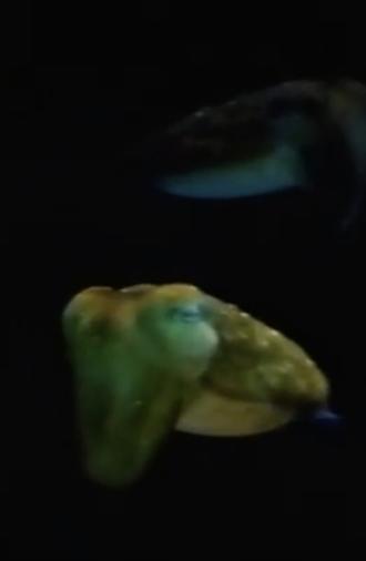 Aliens From Inner Space (1983)