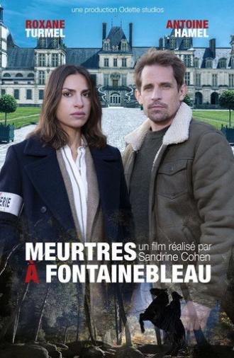 Meurtres à Fontainebleau (2026)