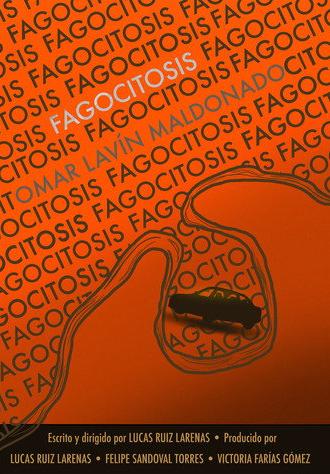 Fagocitosis (2024)