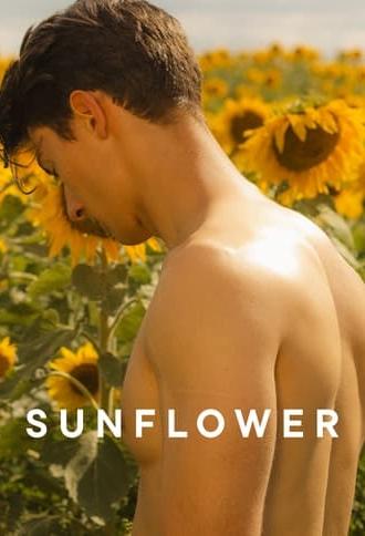 Sunflower (2024)