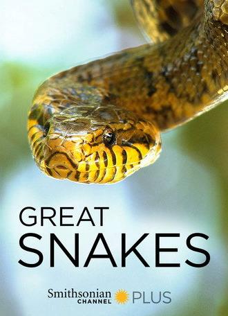 Great Snakes (2016)
