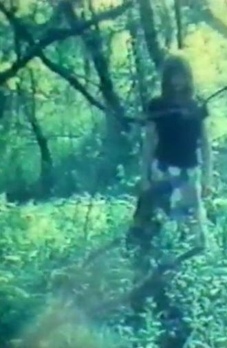 Diary Films I - V (1971)