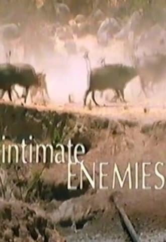 Intimate Enemies (2000)