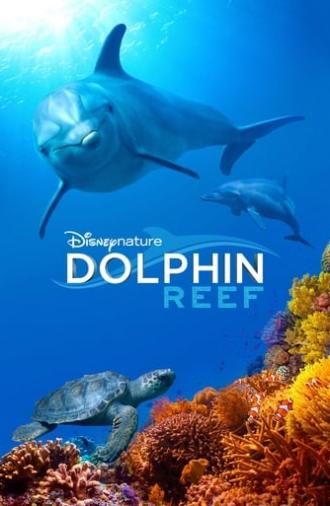 Dolphin Reef (2018)