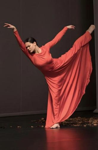 Adieu l’opéra (2025)