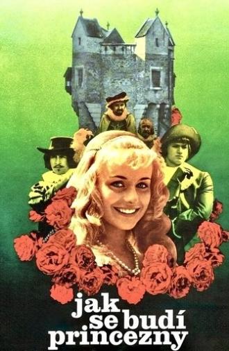 How to Wake a Princess (1978)