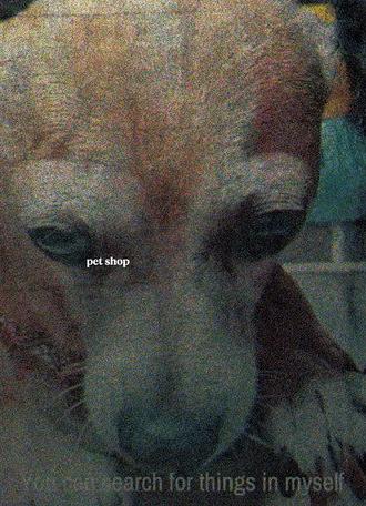 Pet Shop (2026)