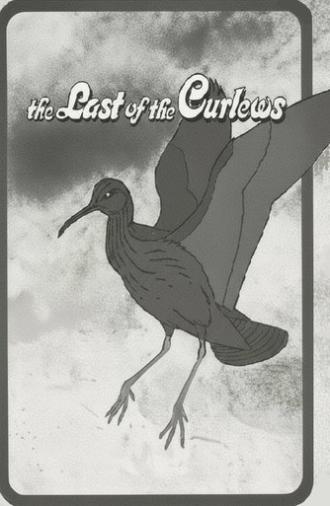 The Last of the Curlews (1972)