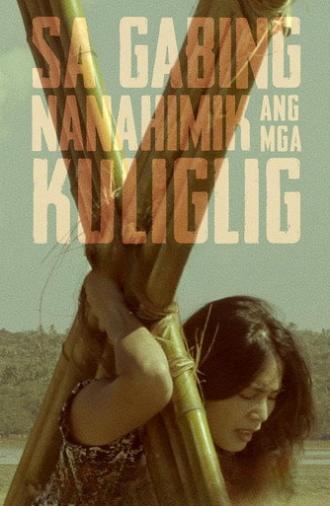 Sa Gabing Nanahimik Ang Mga Kuliglig (2017)