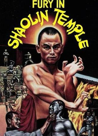 Fury in Shaolin Temple (1979)