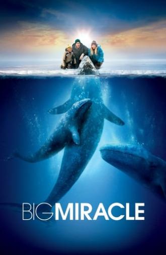 Big Miracle (2012)