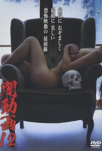 Tokyo Videos of Horror 12 (2015)