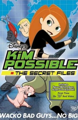 Kim Possible: The Secret Files (2003)