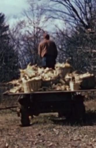 The Longhouse People (1951)